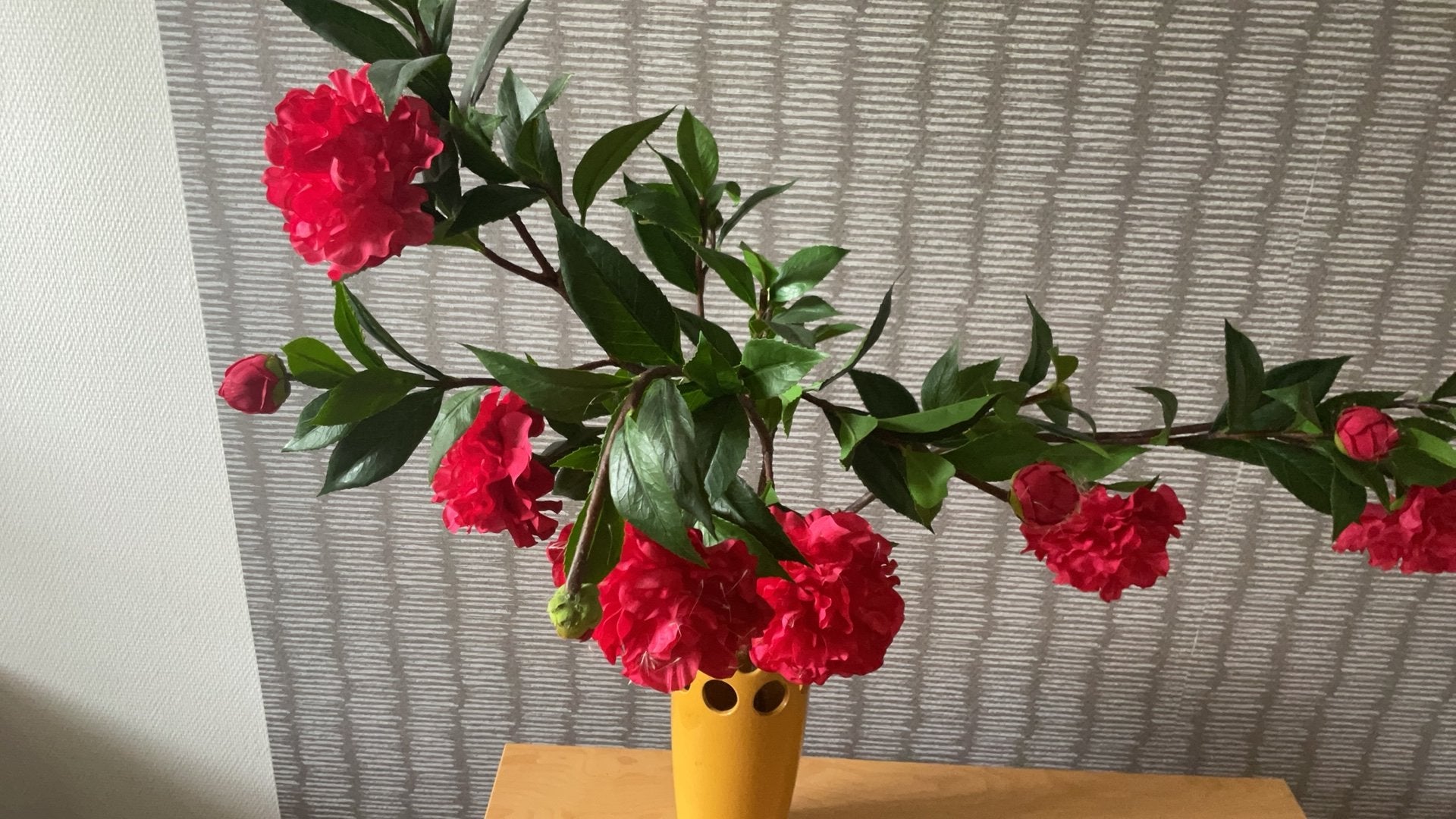 Camelia KUNSTBLOEMEN zijdebloem zonder vaas.70/80 cm Ophalen, Ophalen, Zo goed als nieuw, Kunstbloem, 70 cm
