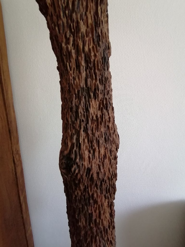 Mosselpaal / boomstam, Ophalen, Hout, Gebruikt, Oosters