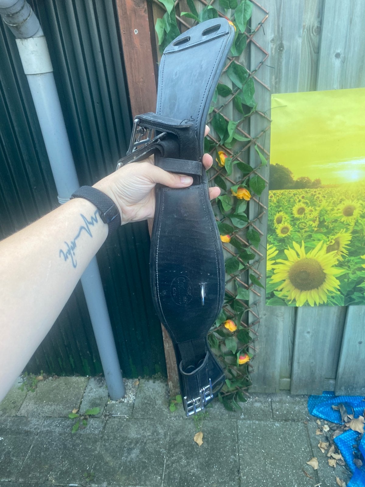 Dressuur singel full, Ophalen of Verzenden, Zo goed als nieuw