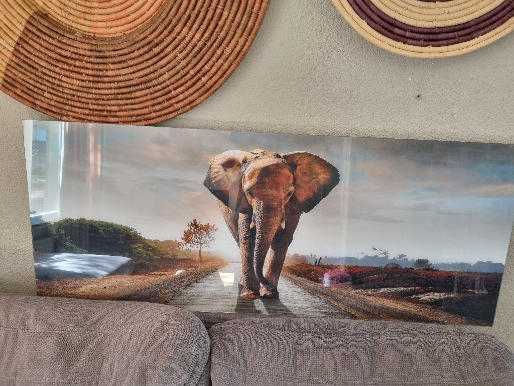 Glazen schilderij olifant 125x50 cm, Ophalen