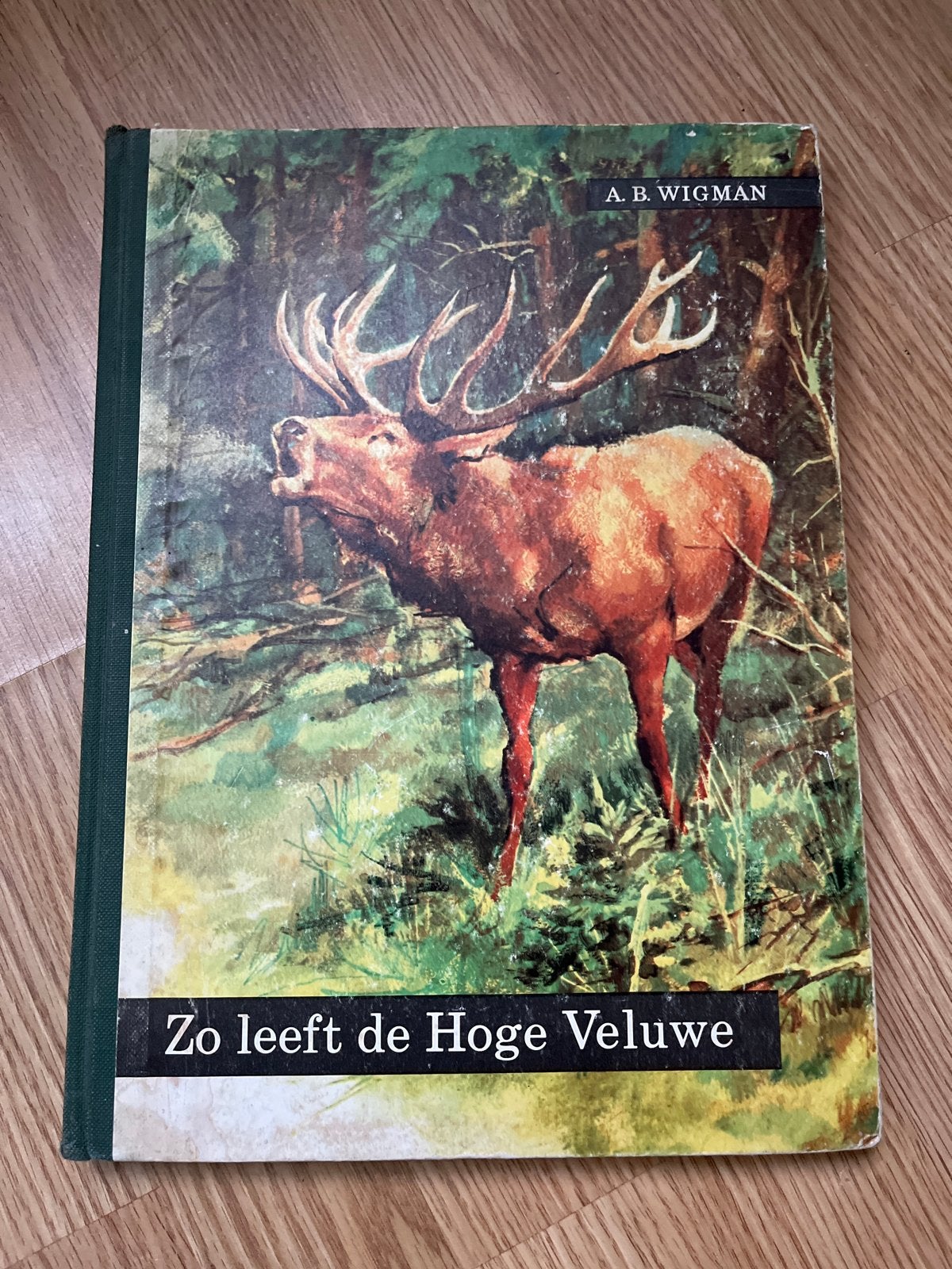 Zo leeft de Hoge Veluwe - A.B. Wigman (1960), Boeken, Ophalen of Verzenden, Gelezen, Natuur algemeen