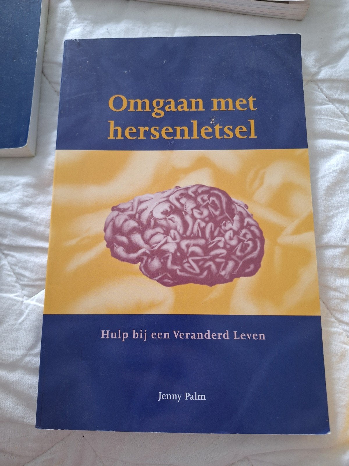 Jenny Palm - Omgaan met hersenletsel, Boeken, Sociale wetenschap, Ophalen of Verzenden, Zo goed als nieuw, Jenny Palm