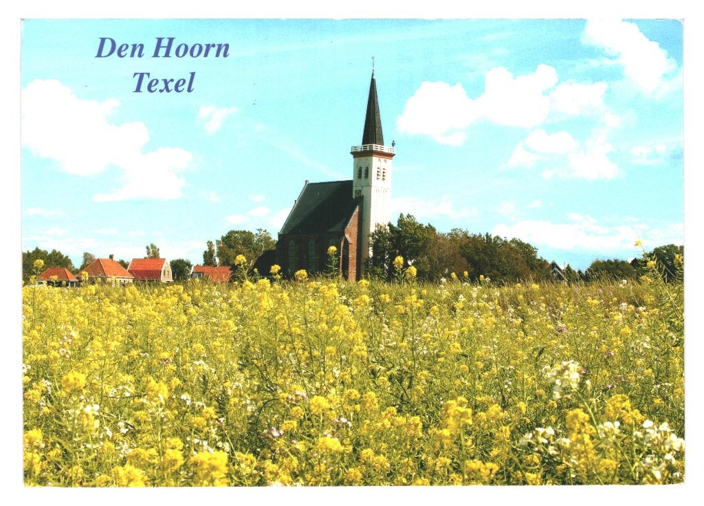 41323 Texel Den Hoorn 80+ Gelopen met postzegel