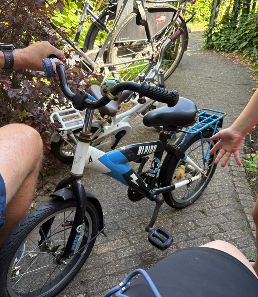 Kinderfiets 16 inch - Alpina, Ophalen, Gebruikt, Terugtraprem, 16 tot 20 inch
