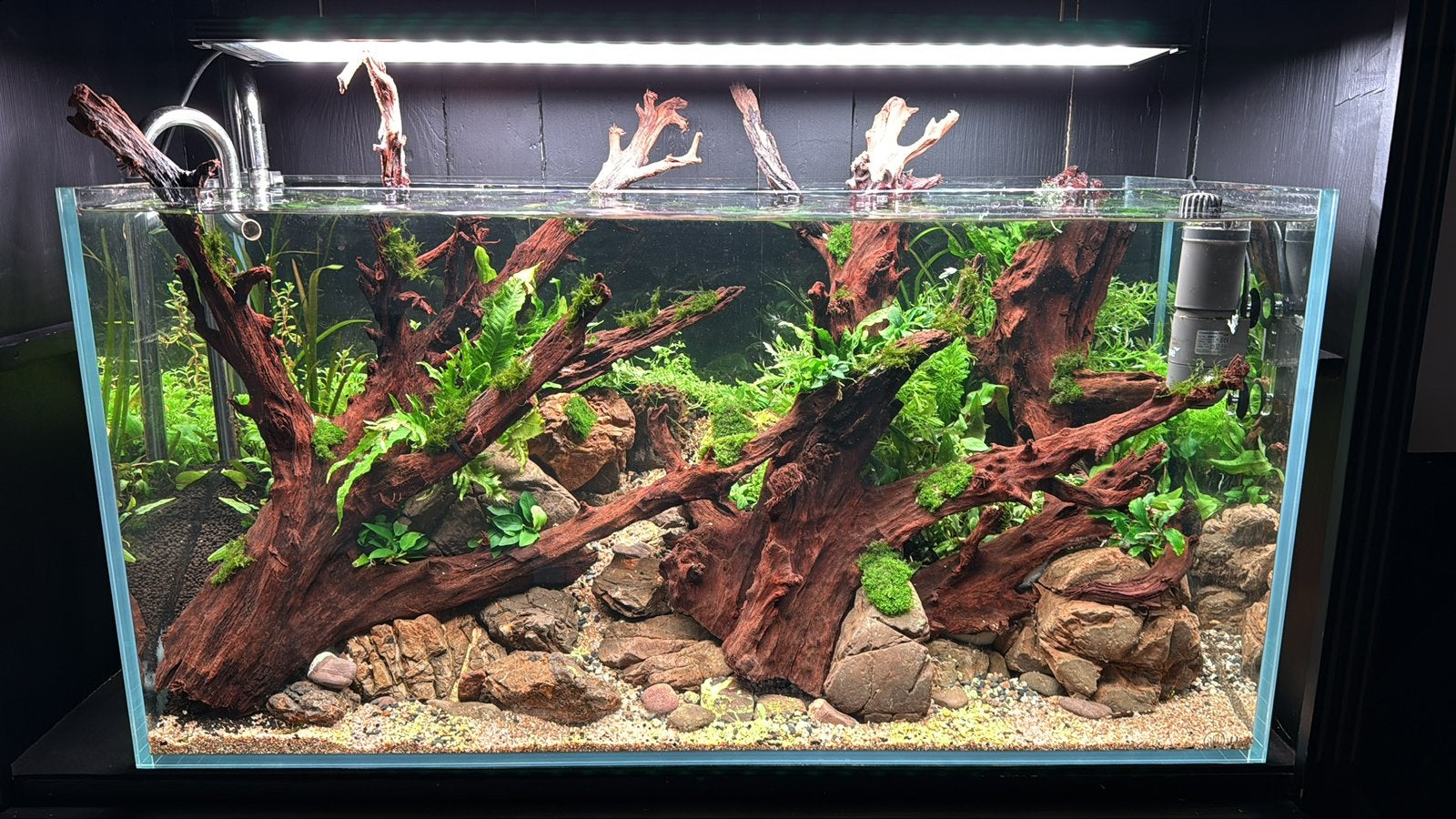 Complete Aquascape hobby, Ophalen, Zo goed als nieuw