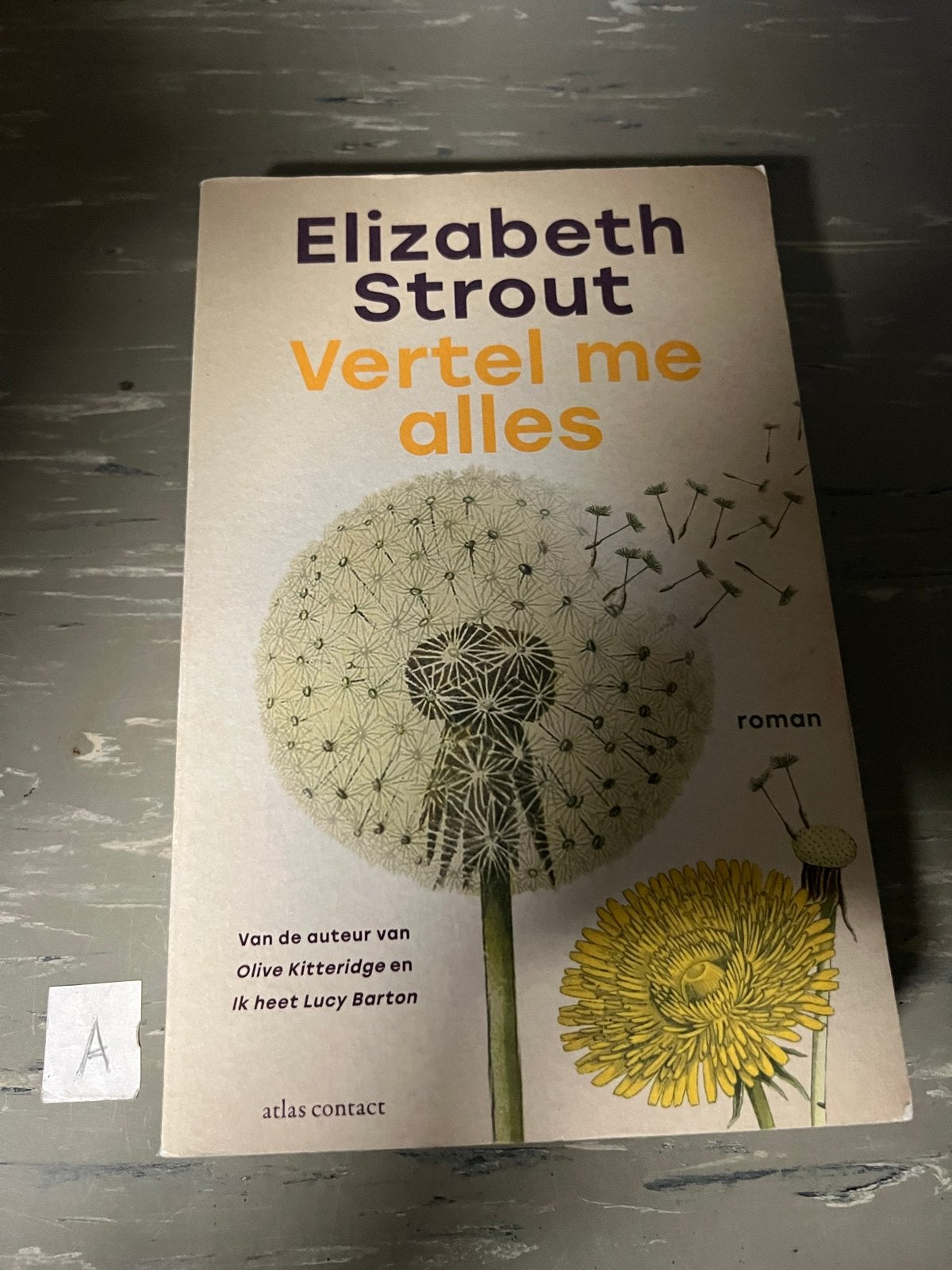 Vertel me alles - Elizabeth Strout (roman), Boeken, Ophalen of Verzenden, Zo goed als nieuw, Nederland
