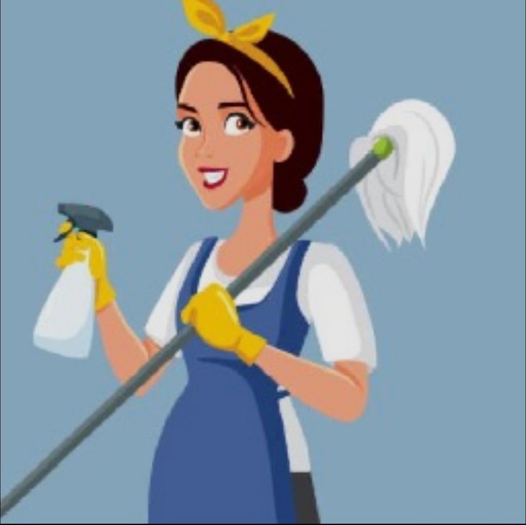 Schoonmaakster beschikbaar voor schoonmaakwerk, Ophalen of Verzenden