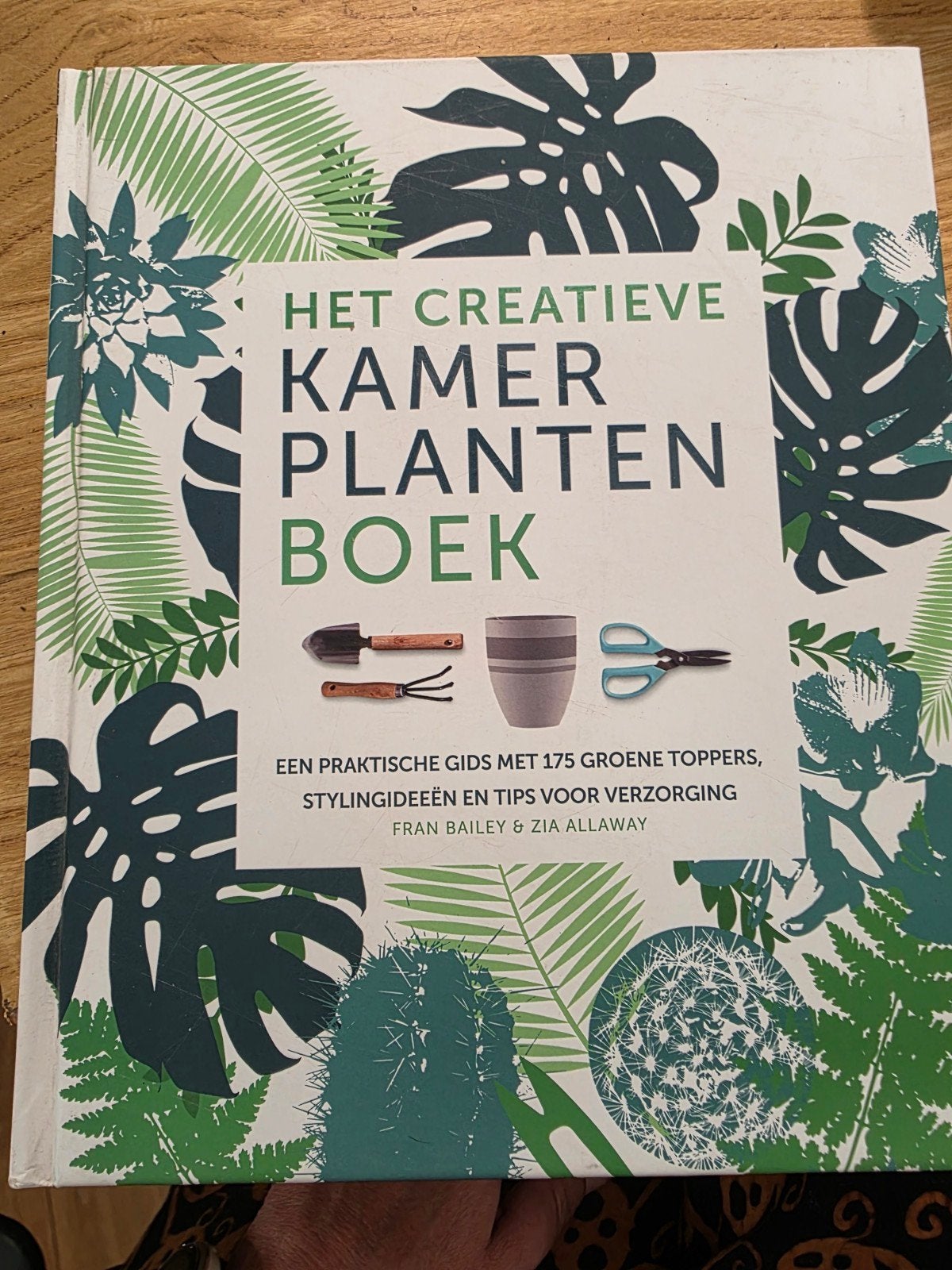 Zia Allaway - Het creatieve kamerplanten boek, Boeken, Bloemen, Planten en Bomen, Ophalen of Verzenden, Zia Allaway; Fran Bailey