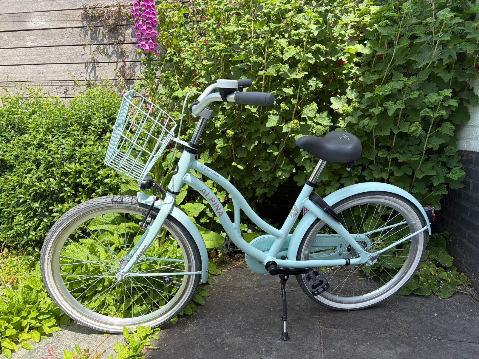 Alpina ocean fiets, 22 inch, Ophalen, Zo goed als nieuw, 20 inch of meer
