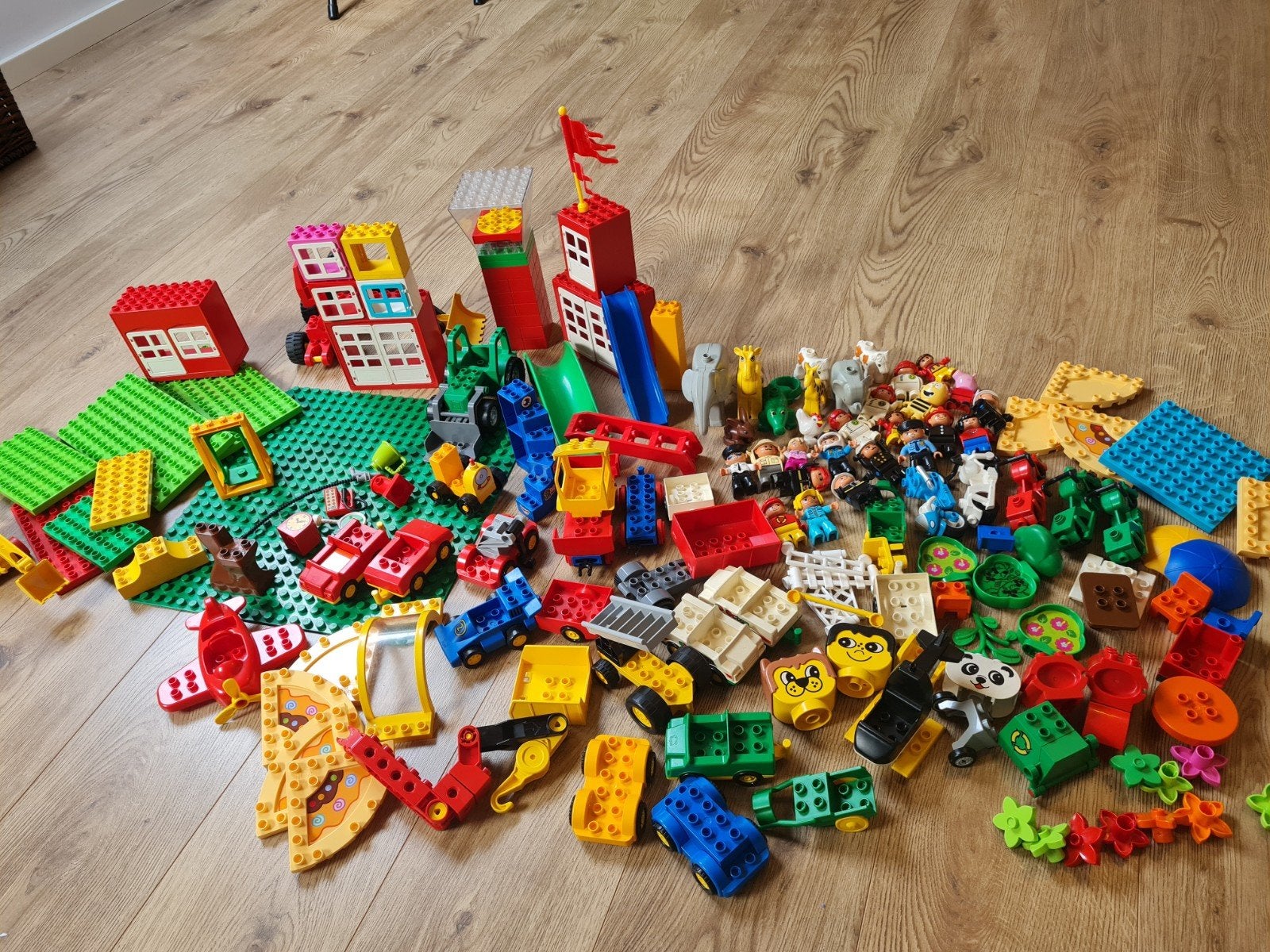 Duplo grote partij, Ophalen
