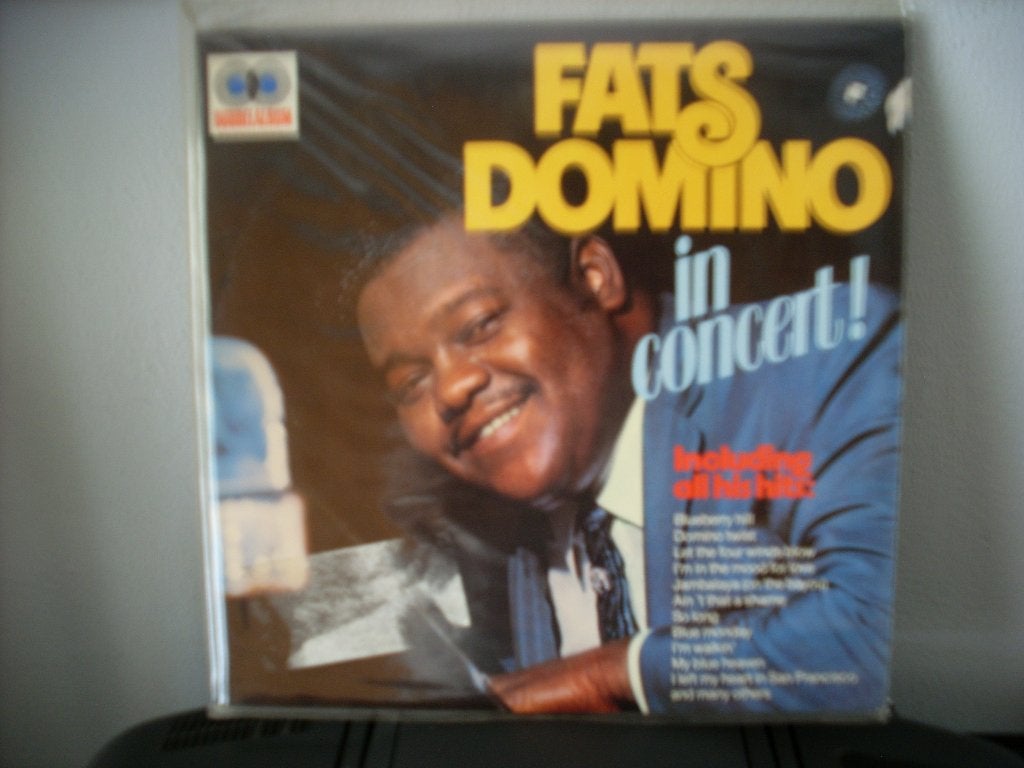 Dubbel LP Fats Domino in Concert ! ----2743, Gebruikt, 12 inch, Dubbel-LP, Fotohoes