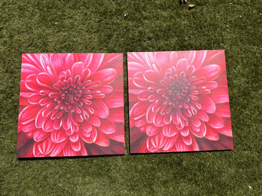 Gratis afhalen: 2 schilderijen roze bloemen, Ophalen, Zo goed als nieuw, Schilderij, Minder dan 50 cm