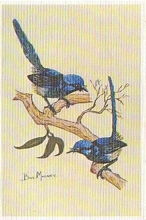 Ansichtkaart 	Vogel, Verzenden, 1980 tot heden, Gelopen, Vogel