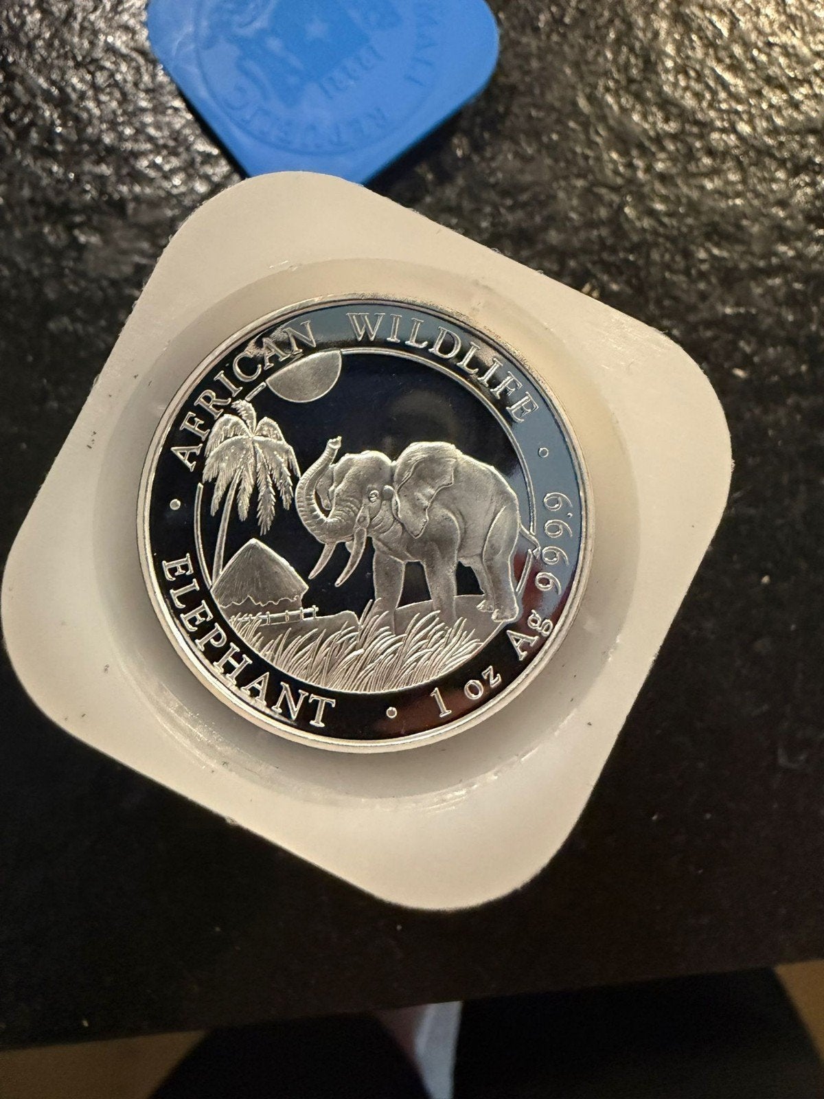 20 x 1 ounce somalie elephant 2017, Ophalen of Verzenden, Zilver
