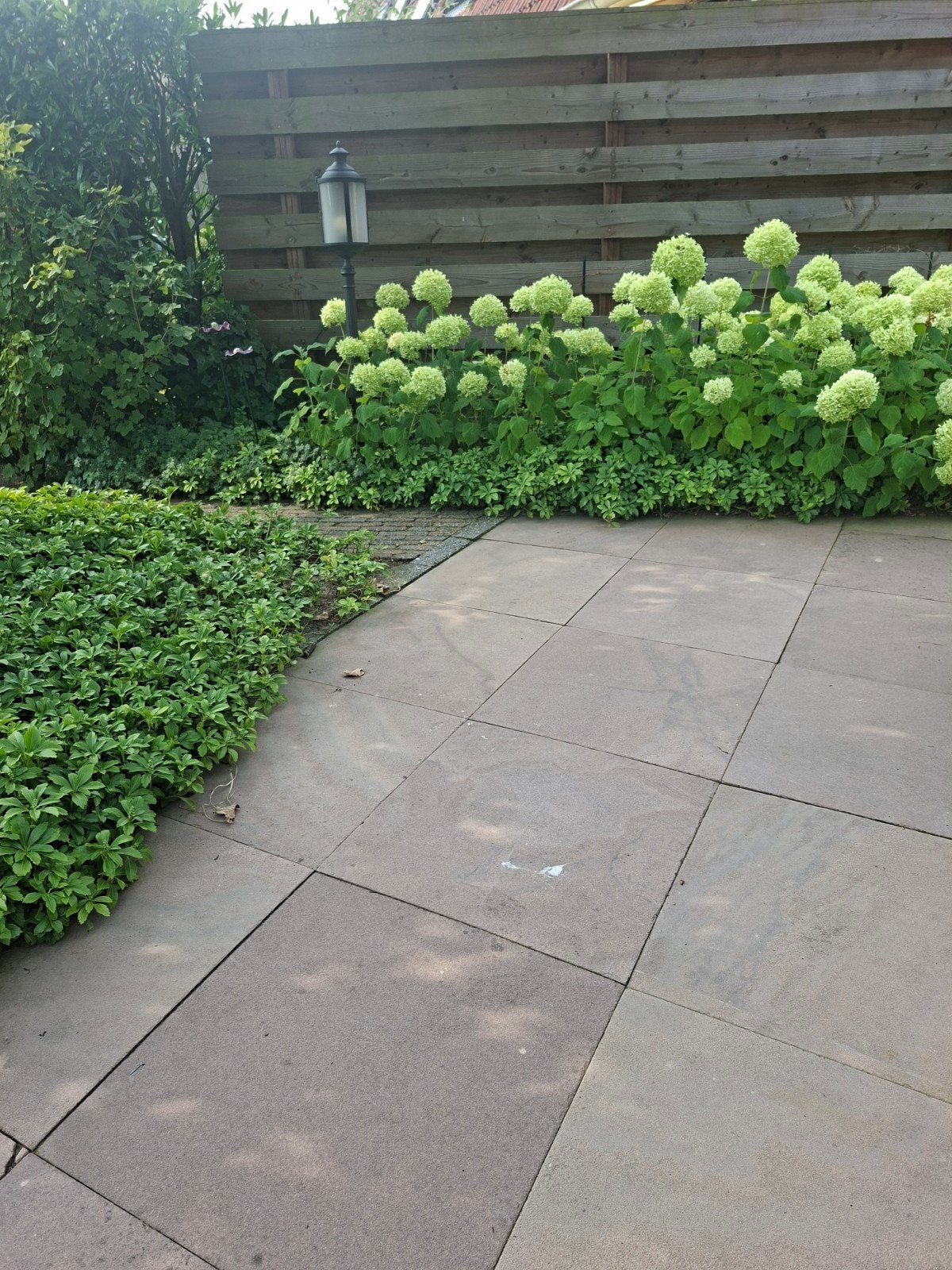 34 m² terrastegels, Tuin en Terras, Tegels en Klinkers, Ophalen, Gebruikt, 10 m² of meer, Beton