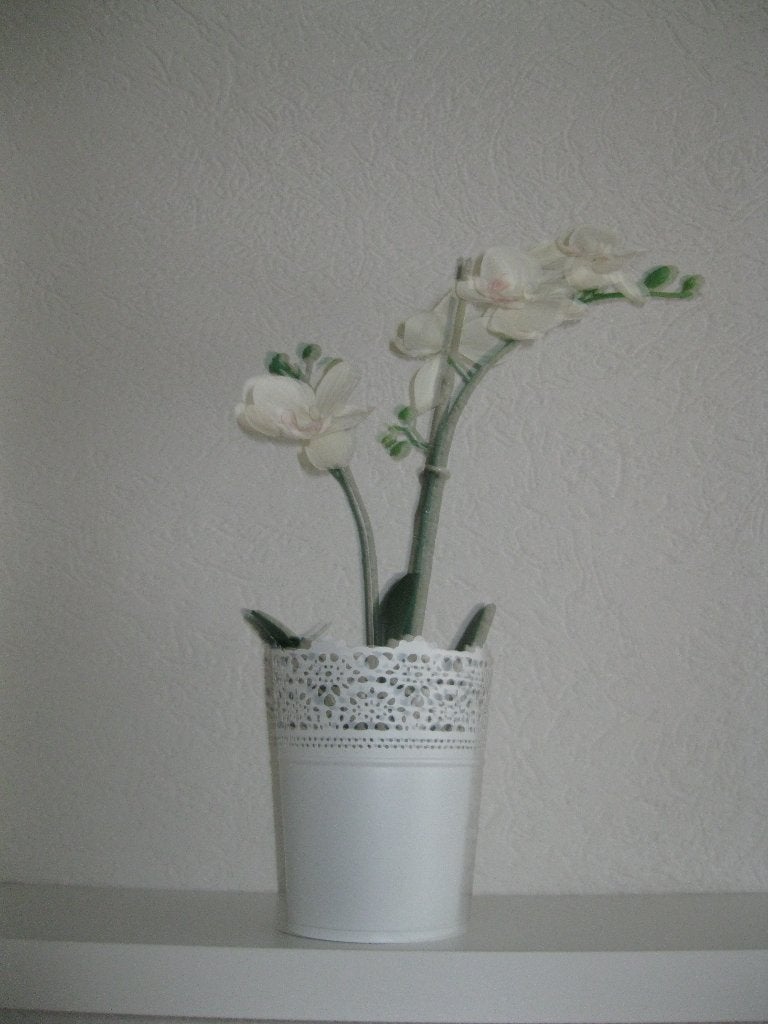Orchidee in pot zgan, Ophalen of Verzenden, Zo goed als nieuw
