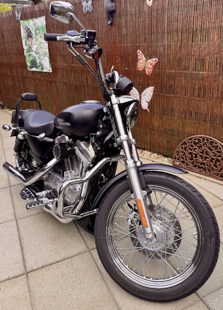 Harley Davidson XL Sportster 883 van 2007, 2 cilinders, Chopper, Gebruikt, 883 cc