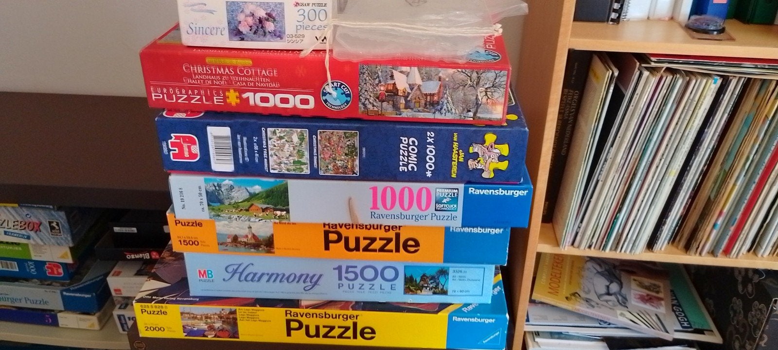 legpuzzels, landschap of stad, Ophalen
