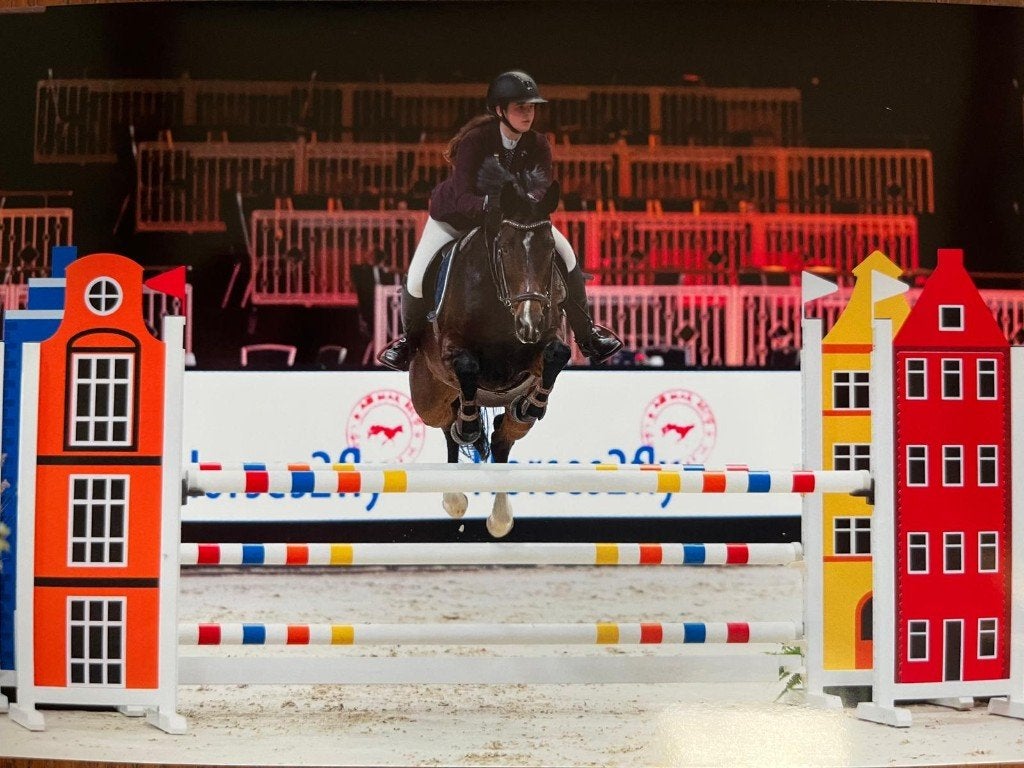 Mooie elite merrie te koop, Merrie, Springpaard, M, 11 jaar of ouder
