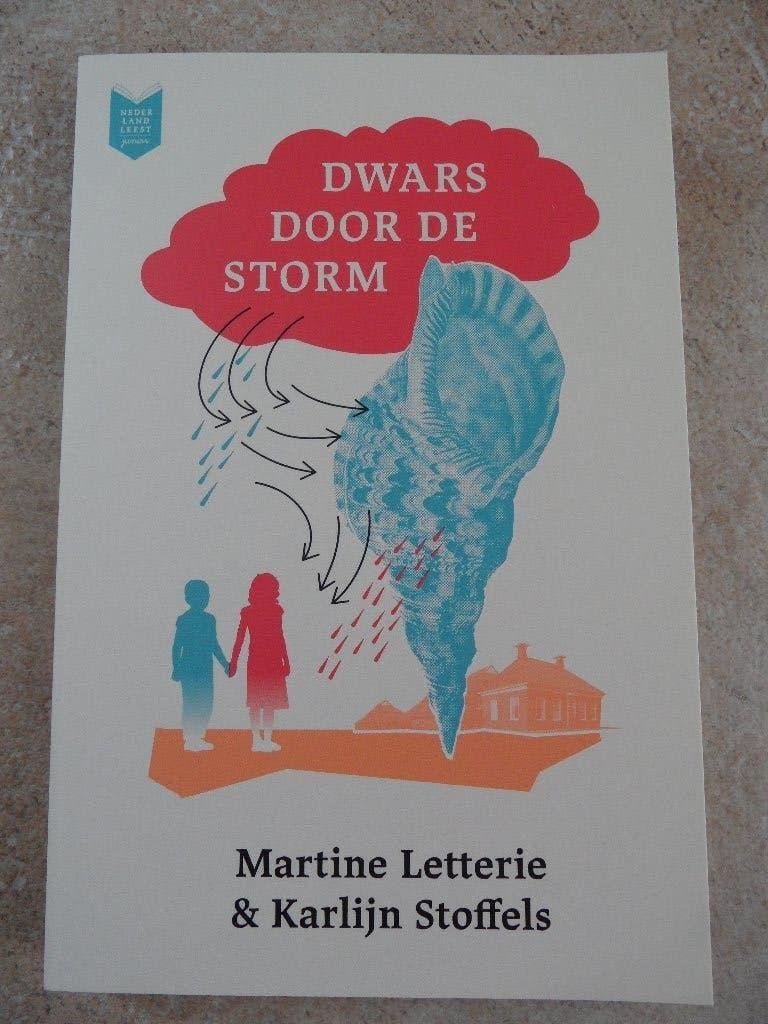 Dwars door de storm, Ophalen of Verzenden, Nieuw, Martine Letterie