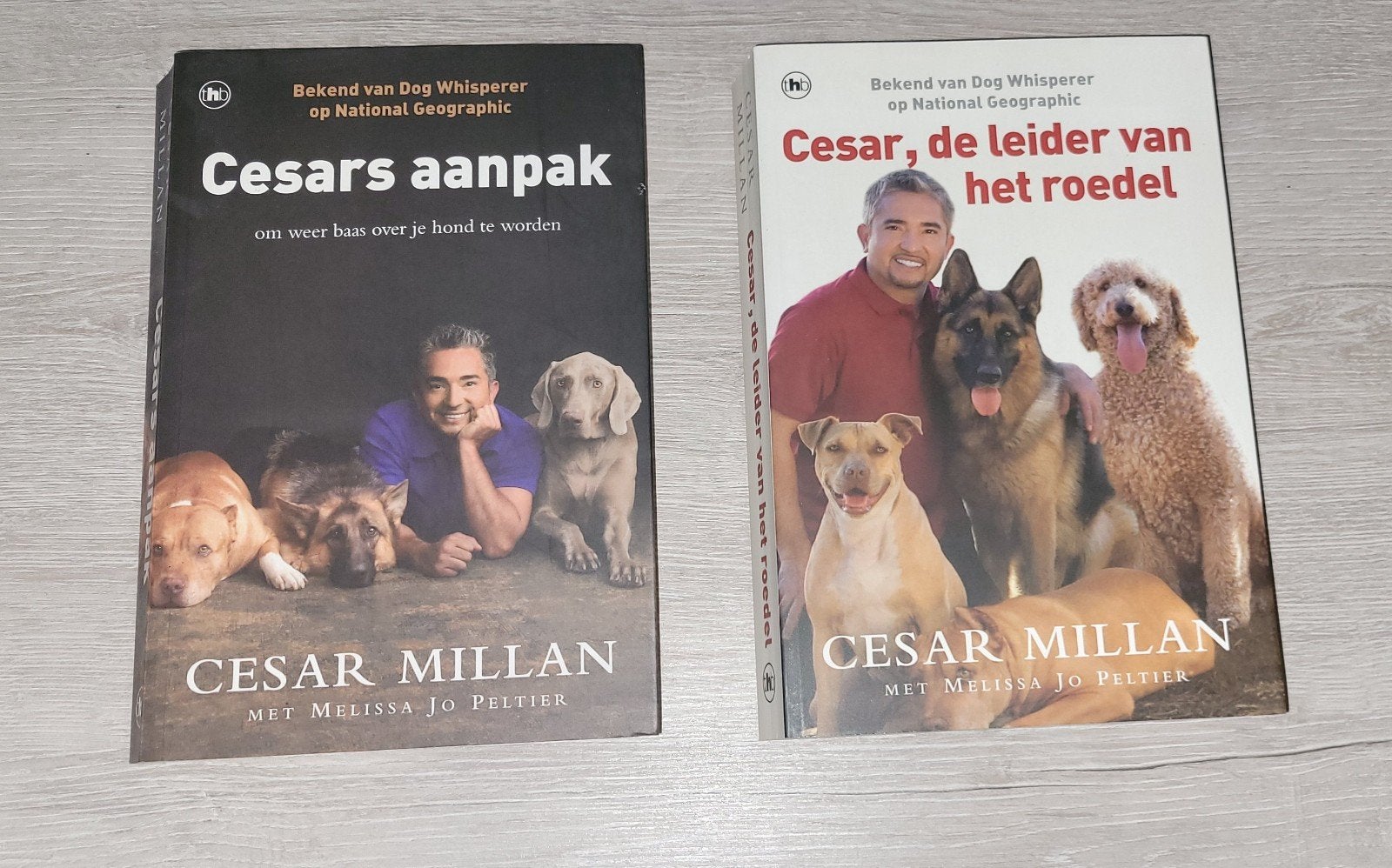 Cesar Millan Boeken: Cesars Aanpak & Leider van het Roedel, Ophalen of Verzenden, Zo goed als nieuw, Honden