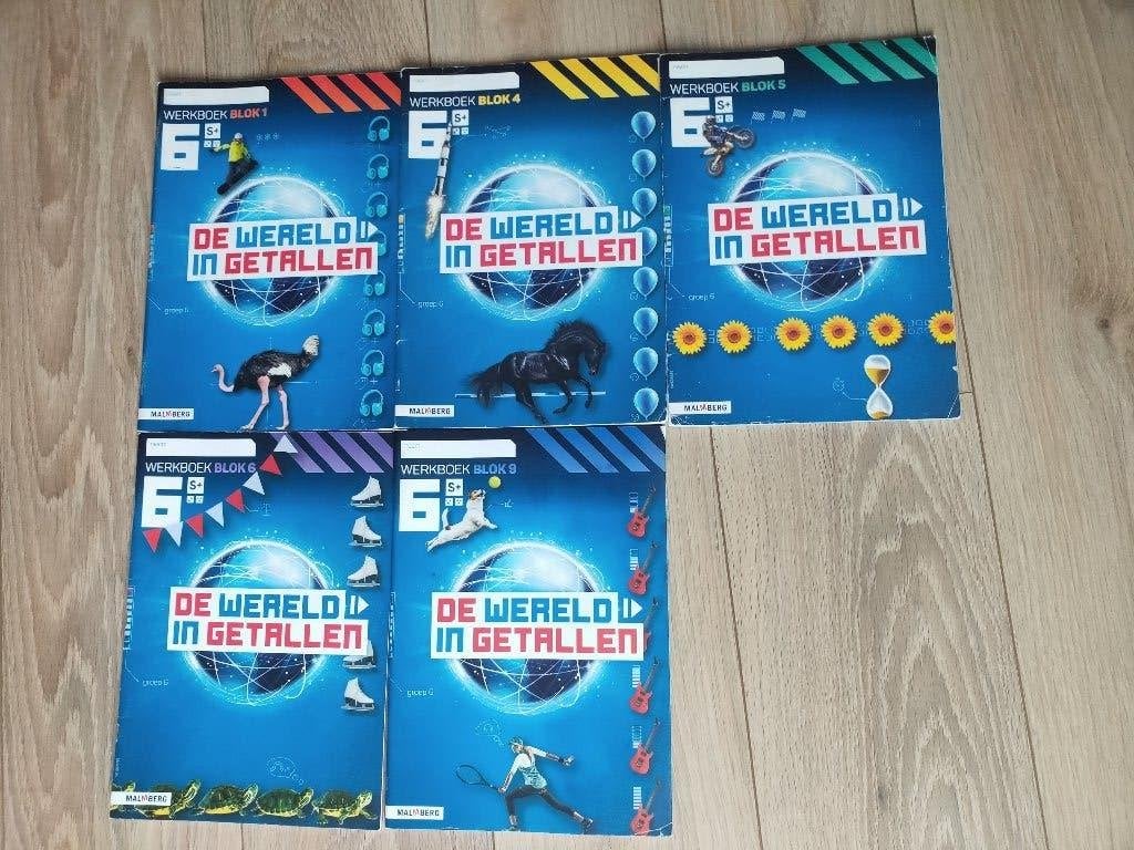 De wereld in getallen / school boeken groep 6, Boeken, Ophalen, Nieuw, Overige niveaus