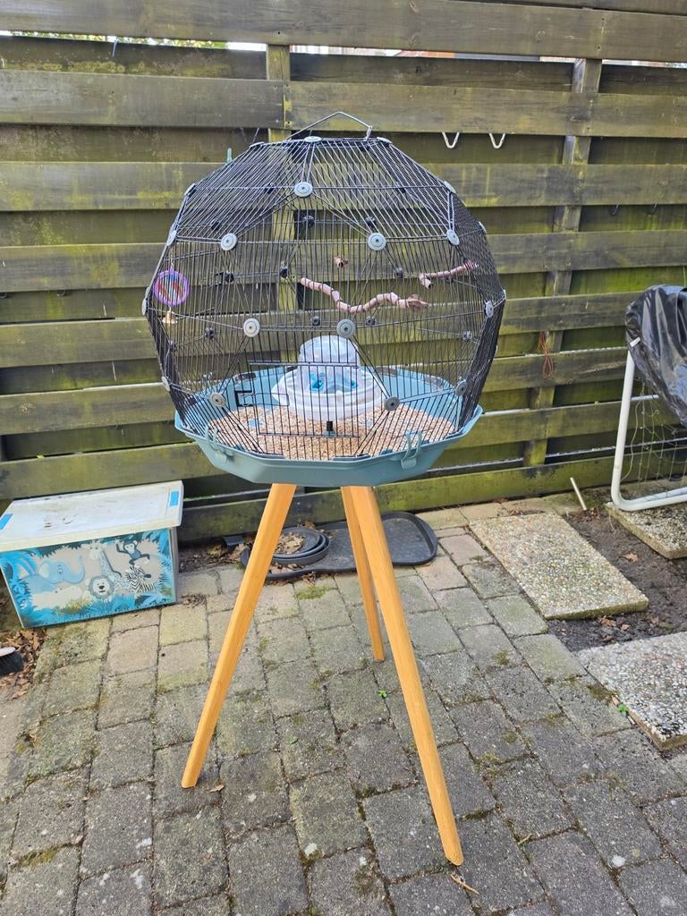 Mooie moderne vogel kooi (bieden), Ophalen, Zo goed als nieuw, Hout, Vogelkooi