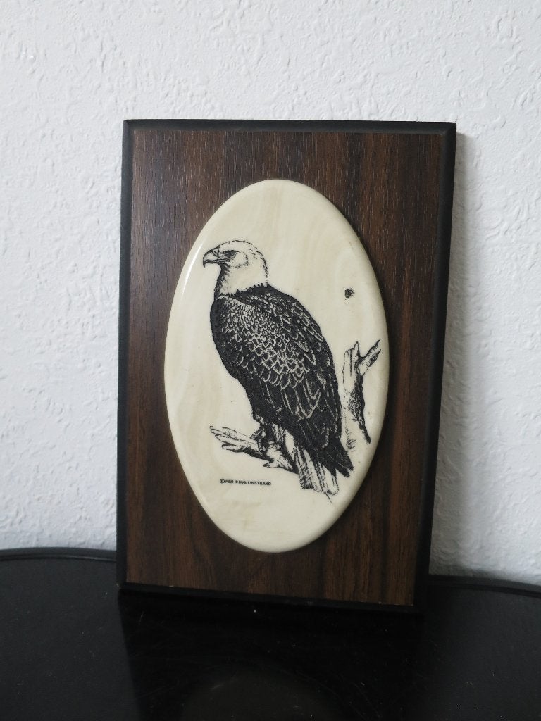 PRACHTIG WANDBORD UIT 1980 DOUG LINSTRAND, Antiek en Kunst, Antiek | Wandborden en Tegels, Ophalen of Verzenden