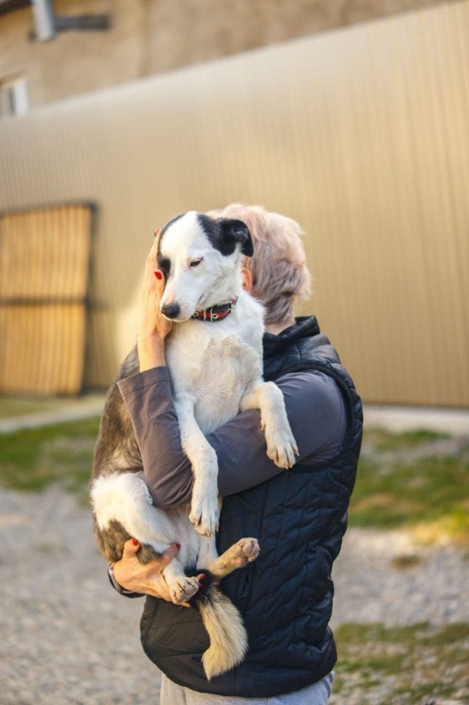 Mag Oreo bij jou?, Dieren en Toebehoren, Honden | Niet-rashonden, Particulier, 15 weken tot 1 jaar, Buitenland, Teef