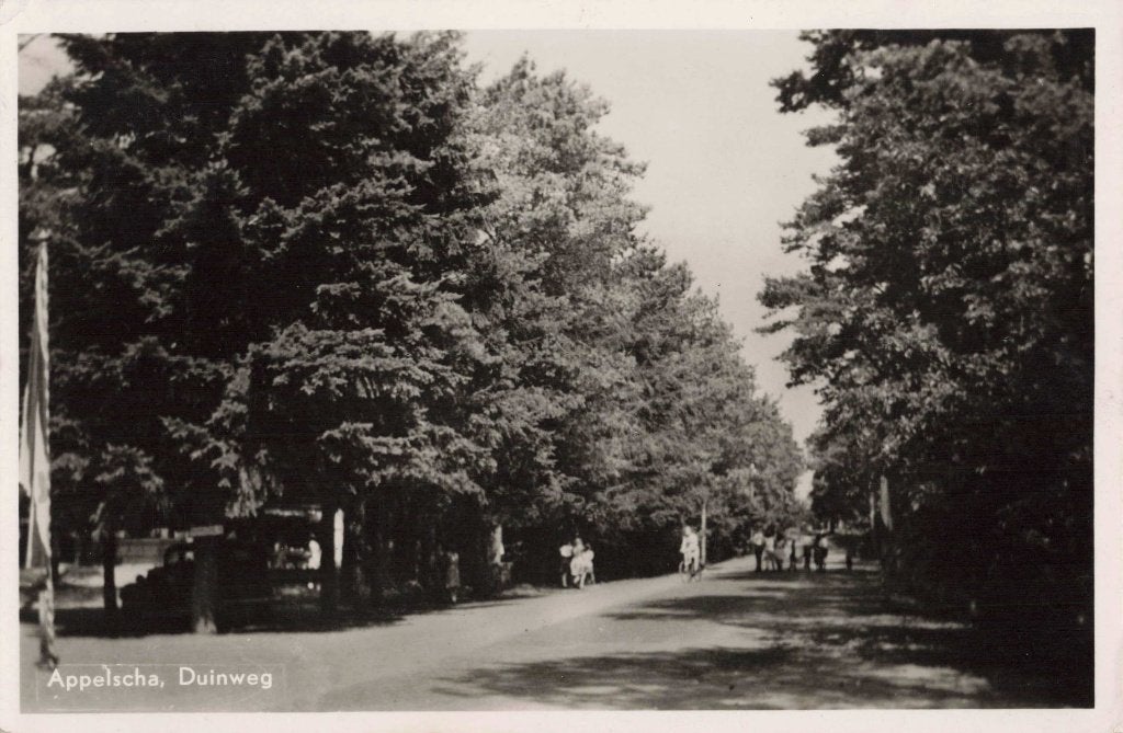Appelscha Duinweg L3064, Ophalen, 1940 tot 1960, Gelopen, Friesland