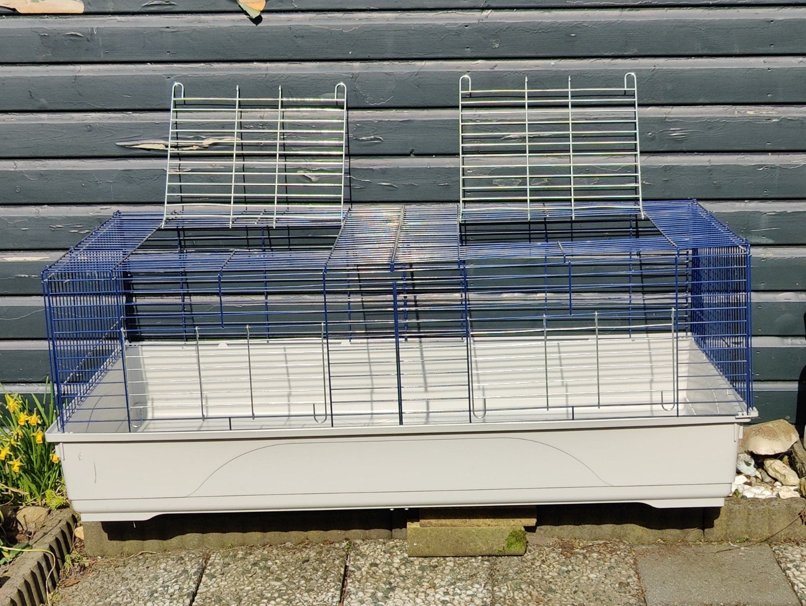 Cavia konijnen kooi, Kooi, 110 cm of meer, Zo goed als nieuw, Konijn