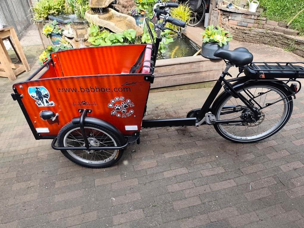Bakfiets dog // elektrische Babboe dog en  gekeurd, Ophalen, Zo goed als nieuw, Goederen, Huif