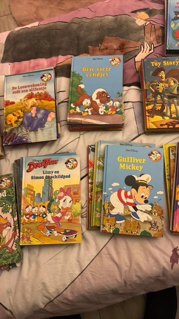 Grote collectie Disney boeken - Diverse titels, Ophalen