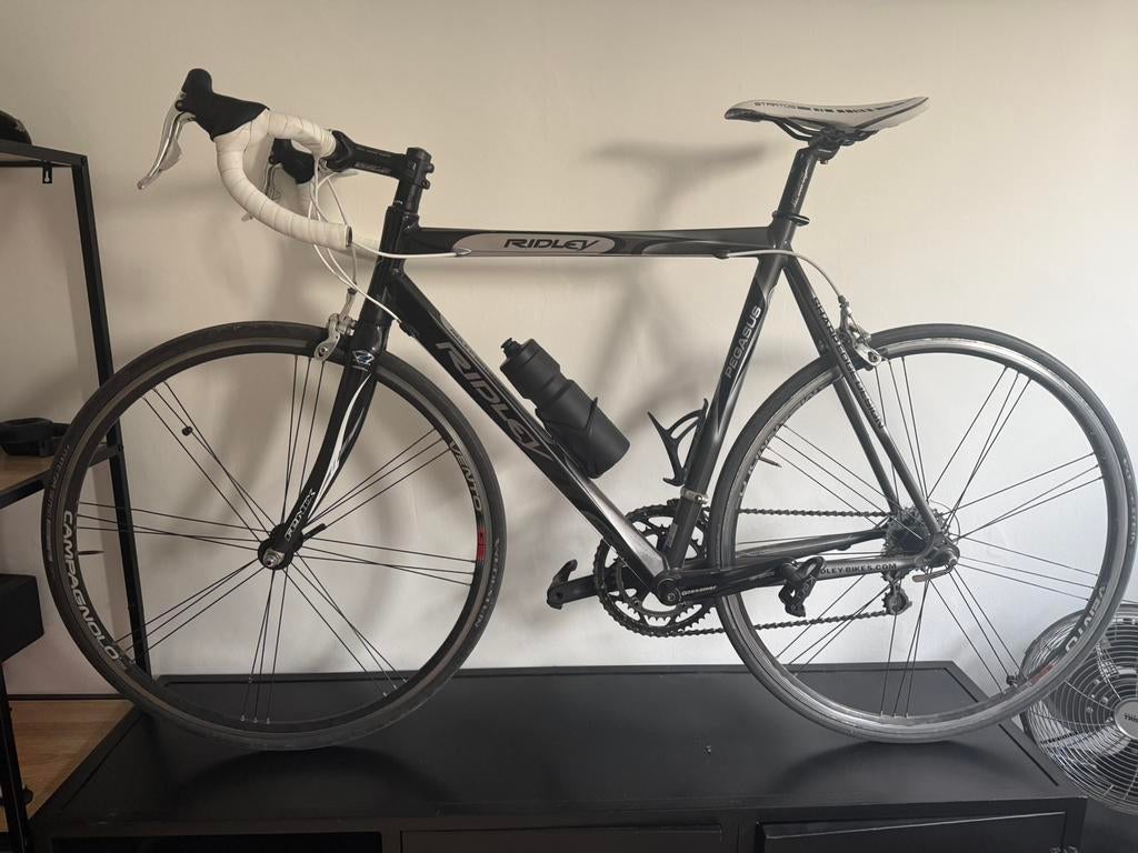 Ridley Pegasus Racefiets, Aluminium, Zo goed als nieuw, Meer dan 20 versnellingen, Ophalen