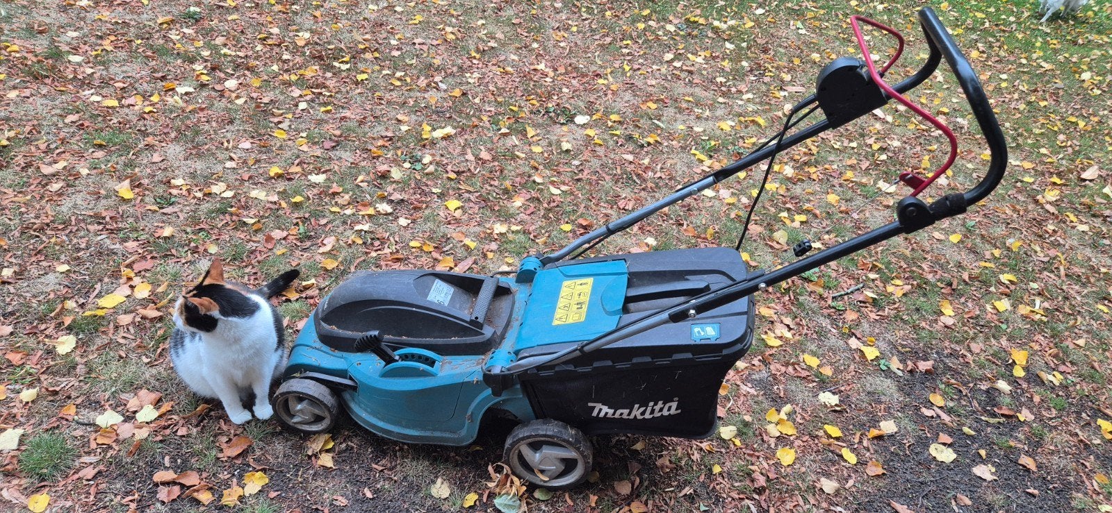 Prima Makita elektrische grasmaaier (zonder kat), Ophalen, Cirkelmaaier, Gebruikt, Elektrische grasmaaier