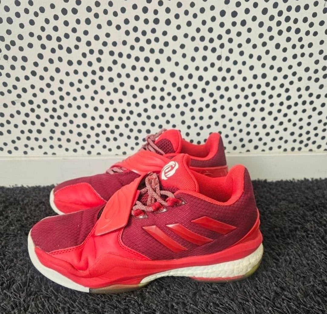 Adidas D Rose Englewood Boost Basketbalschoenen Maat 42, Sport en Fitness, Basketbal, Ophalen of Verzenden