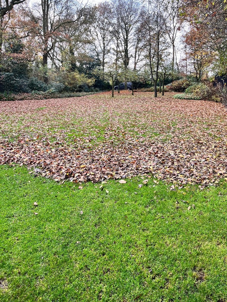 Bladeren laten opruimen? | Broek Landwerken | Drenthe, Diversen, Ophalen, Nieuw