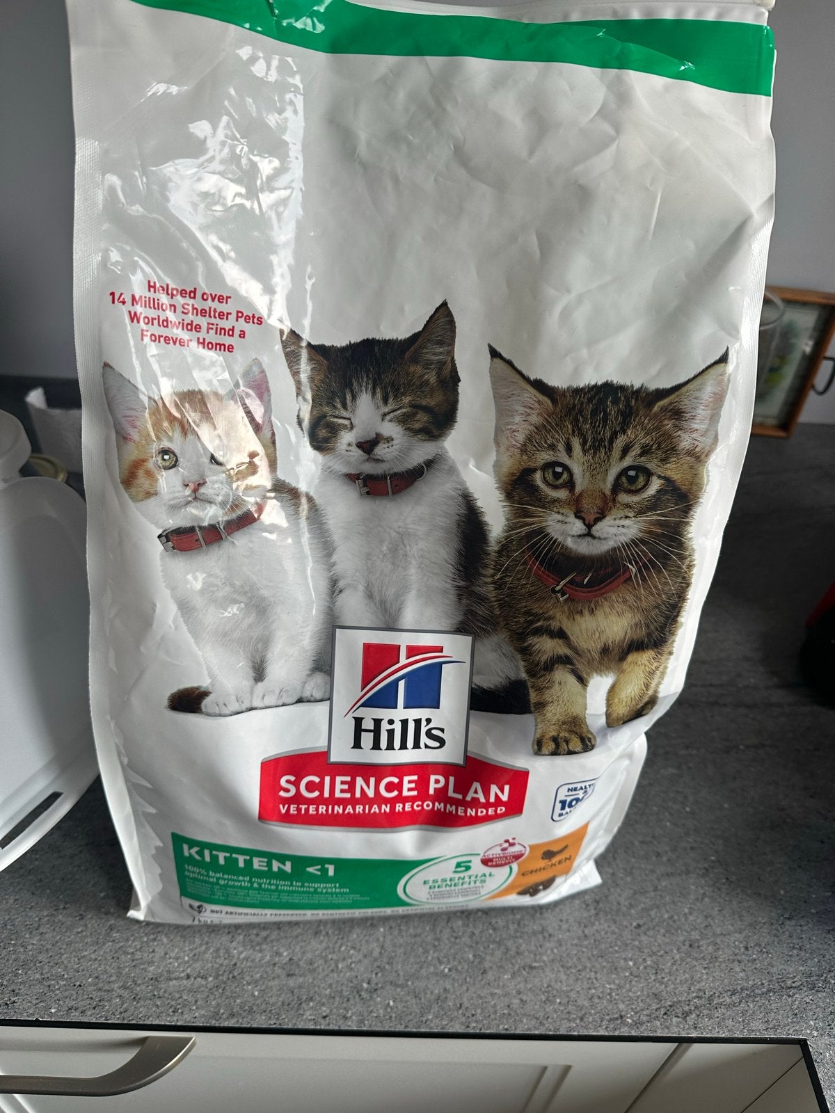 Nog bijn volle zak hills kitten  voer, Ophalen, Kat