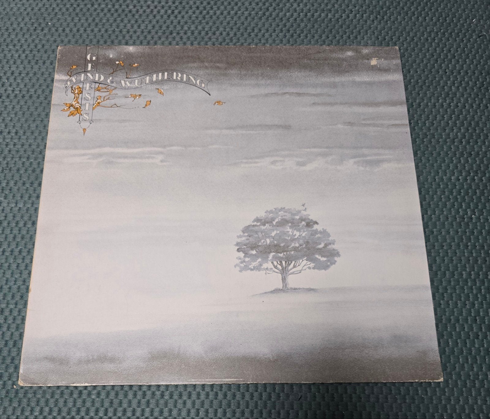 Genesis wind and wuthering lp, Ophalen of Verzenden, Gebruikt, 12 inch, Poprock
