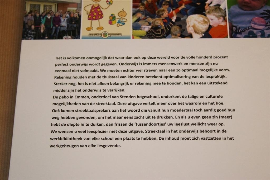 Streektaol in het Underwies — Achtergronden en Uitwerking, Boeken, Ophalen of Verzenden, Zo goed als nieuw