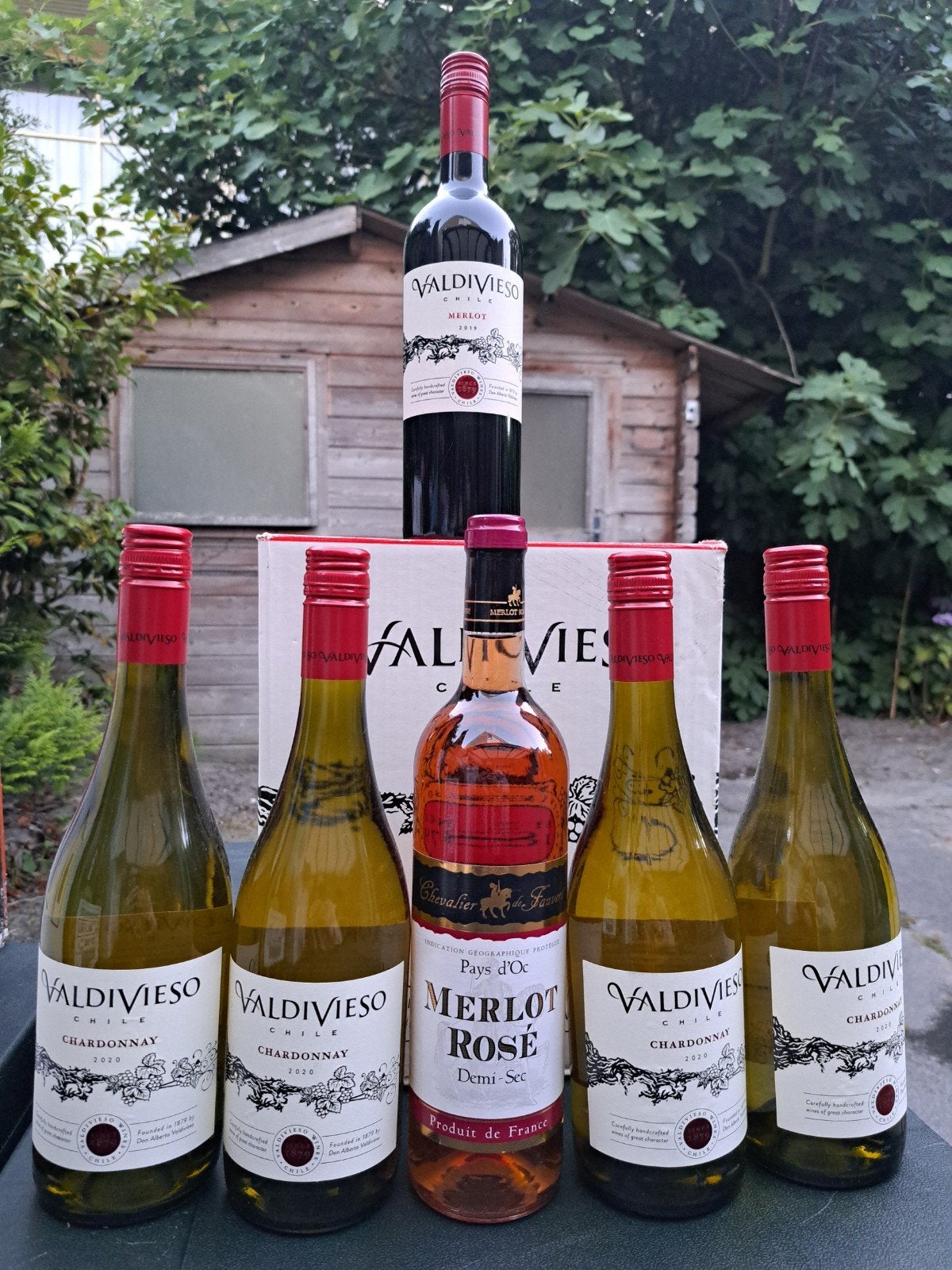 Wijncollectie: Valdivieso Chardonnay, Merlot & Rosé, Ophalen of Verzenden, Nieuw, Frankrijk, Rode wijn