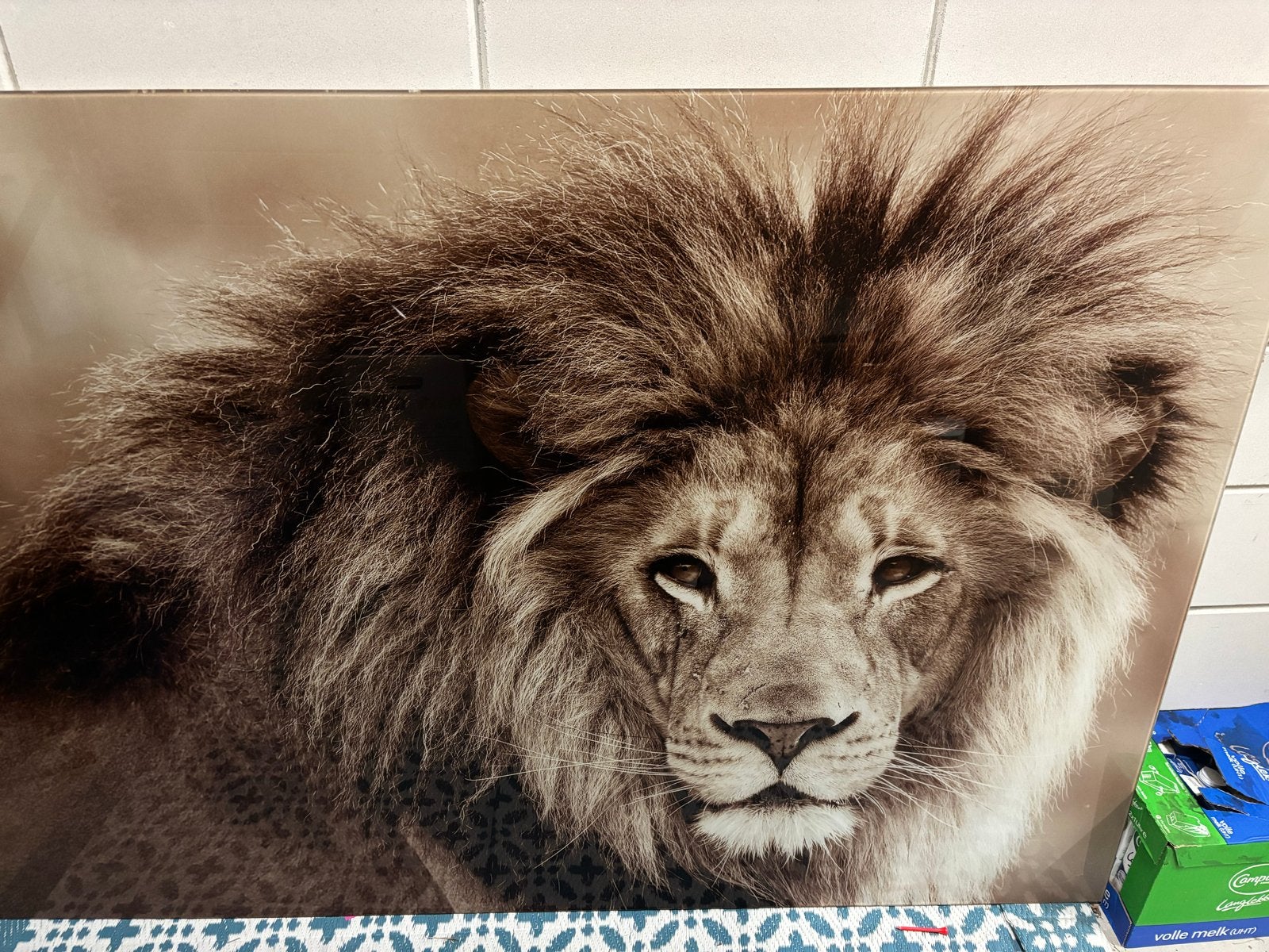 Indrukwekkend Glas Schilderij Leeuw - 160x110 cm, Antiek en Kunst, Kunst | Schilderijen | Klassiek, Realistisch, Overige ondergronden