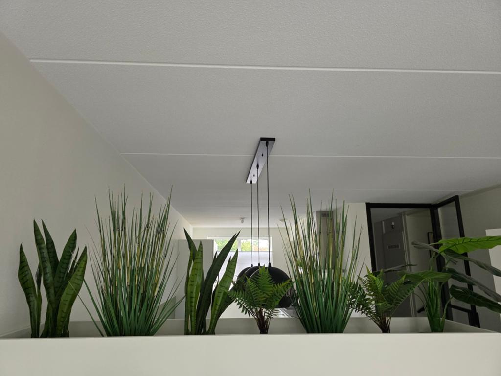 Kunstplanten: Sanseveria, varens en siergras, Ophalen, Groen, Kunstplant, Zo goed als nieuw