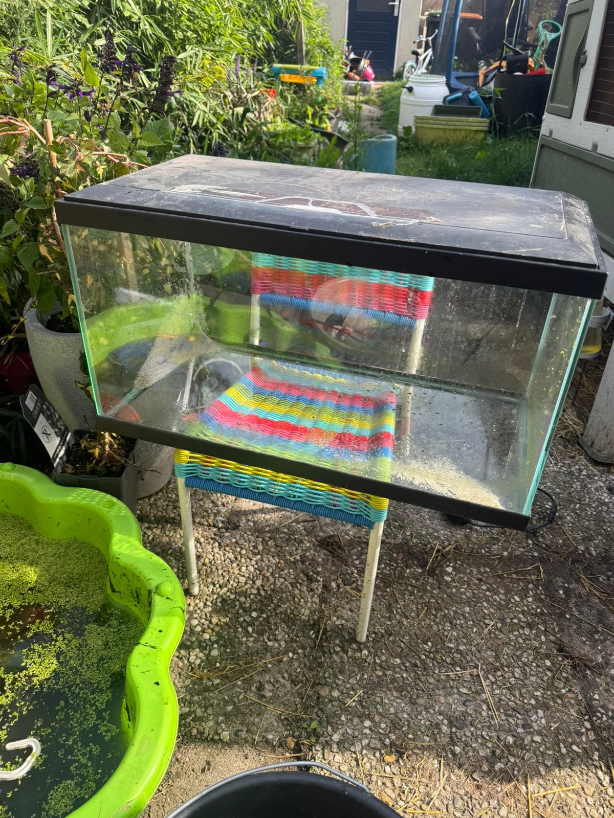 Aquarium 60x30x30, Ophalen, Zo goed als nieuw, Leeg aquarium