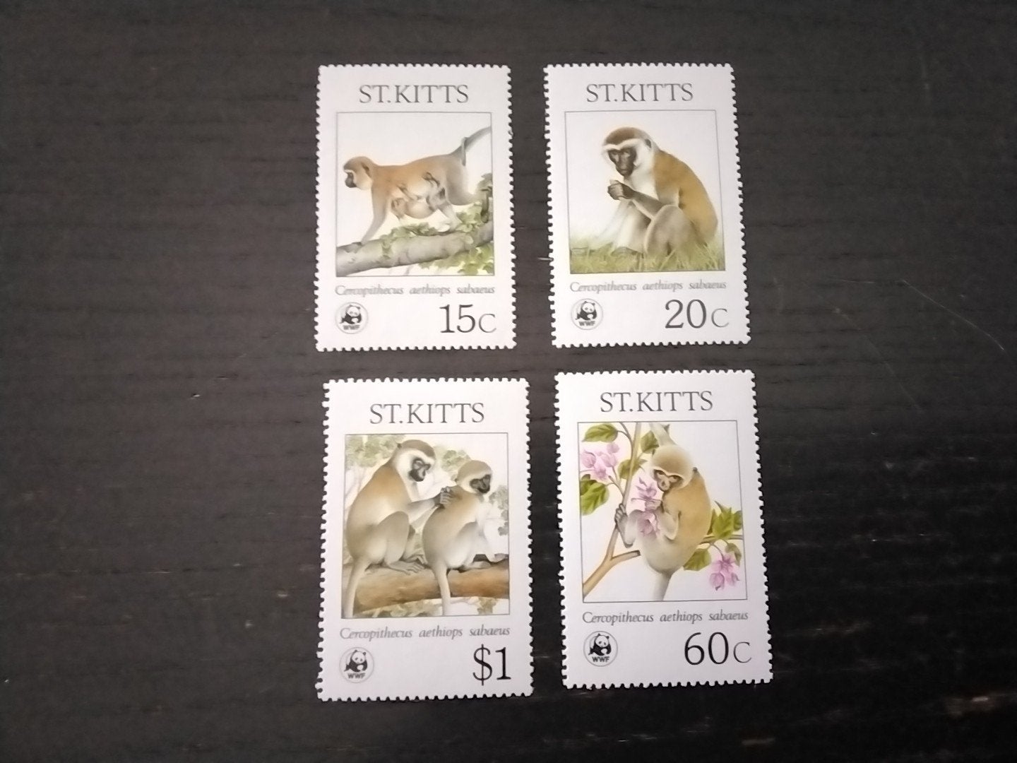 26313 St.Kitts dieren apen WWF postfris, Ophalen of Verzenden, Postfris, Dier of Natuur