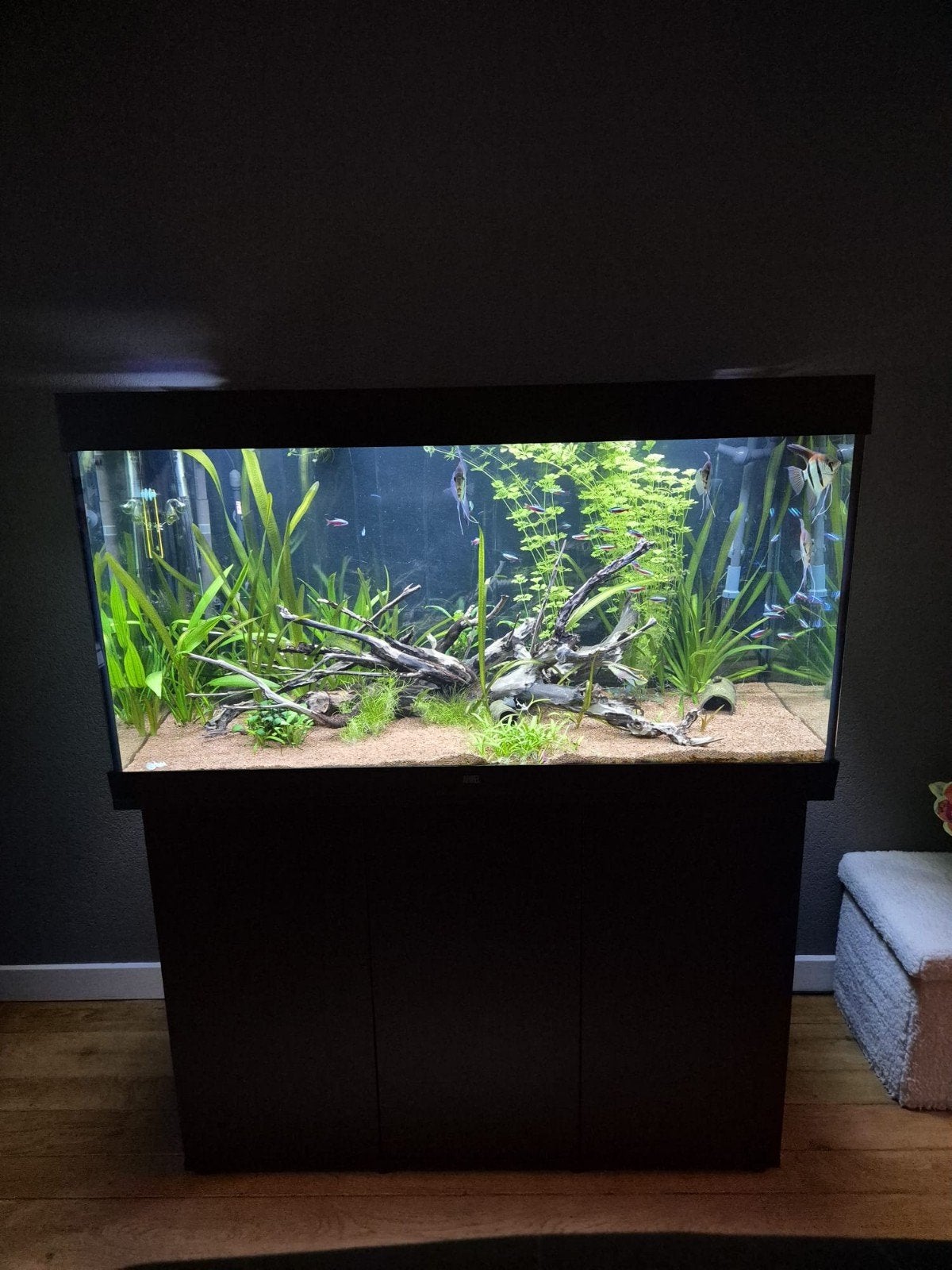 Complete set Juwel Rio 350, Dieren en Toebehoren, Ophalen