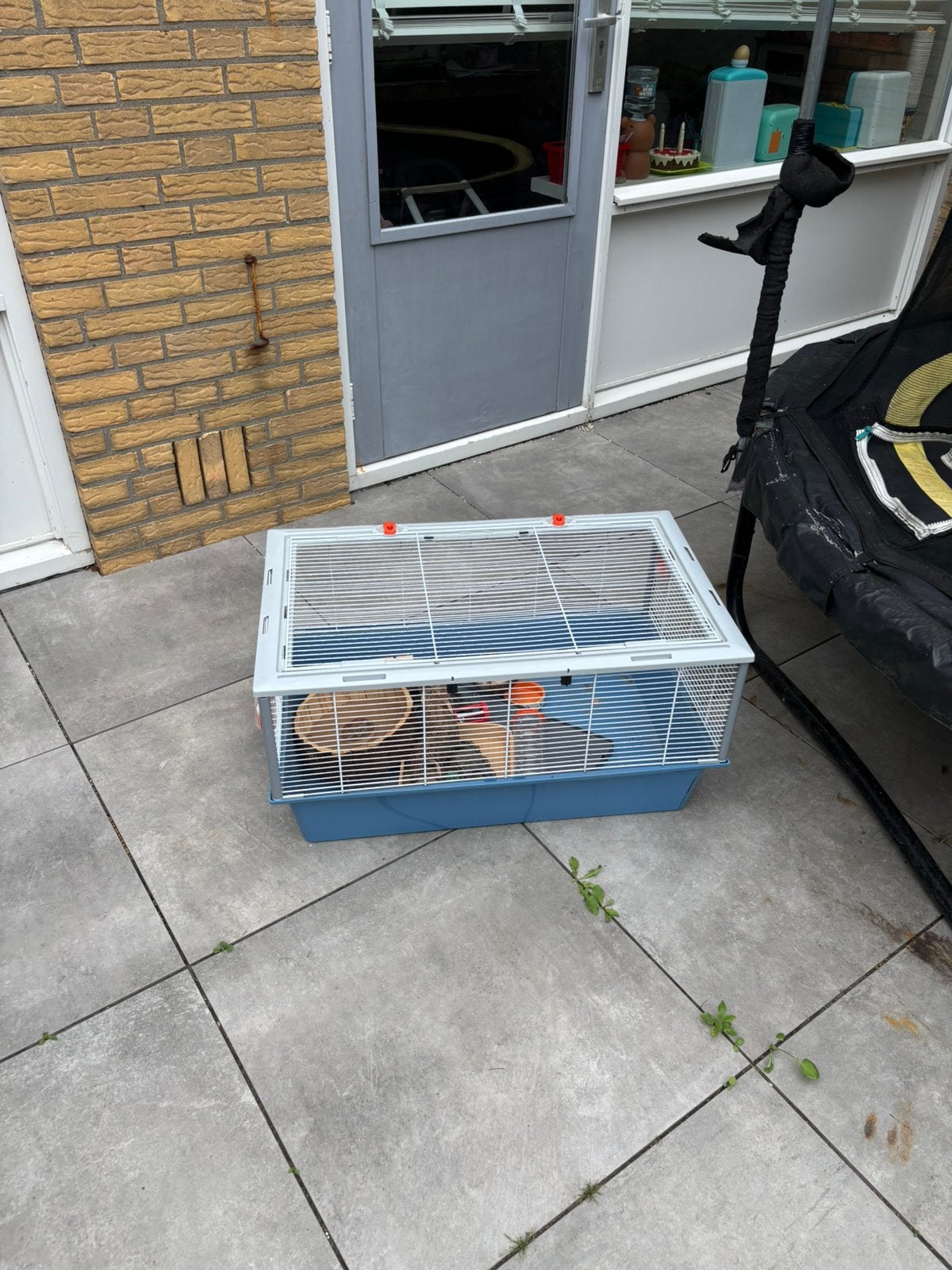 Hamsterkooi Ferplast, Dieren en Toebehoren, Knaagdieren en Konijnen | Hokken en Kooien, Kooi, Minder dan 75 cm, Zo goed als nieuw