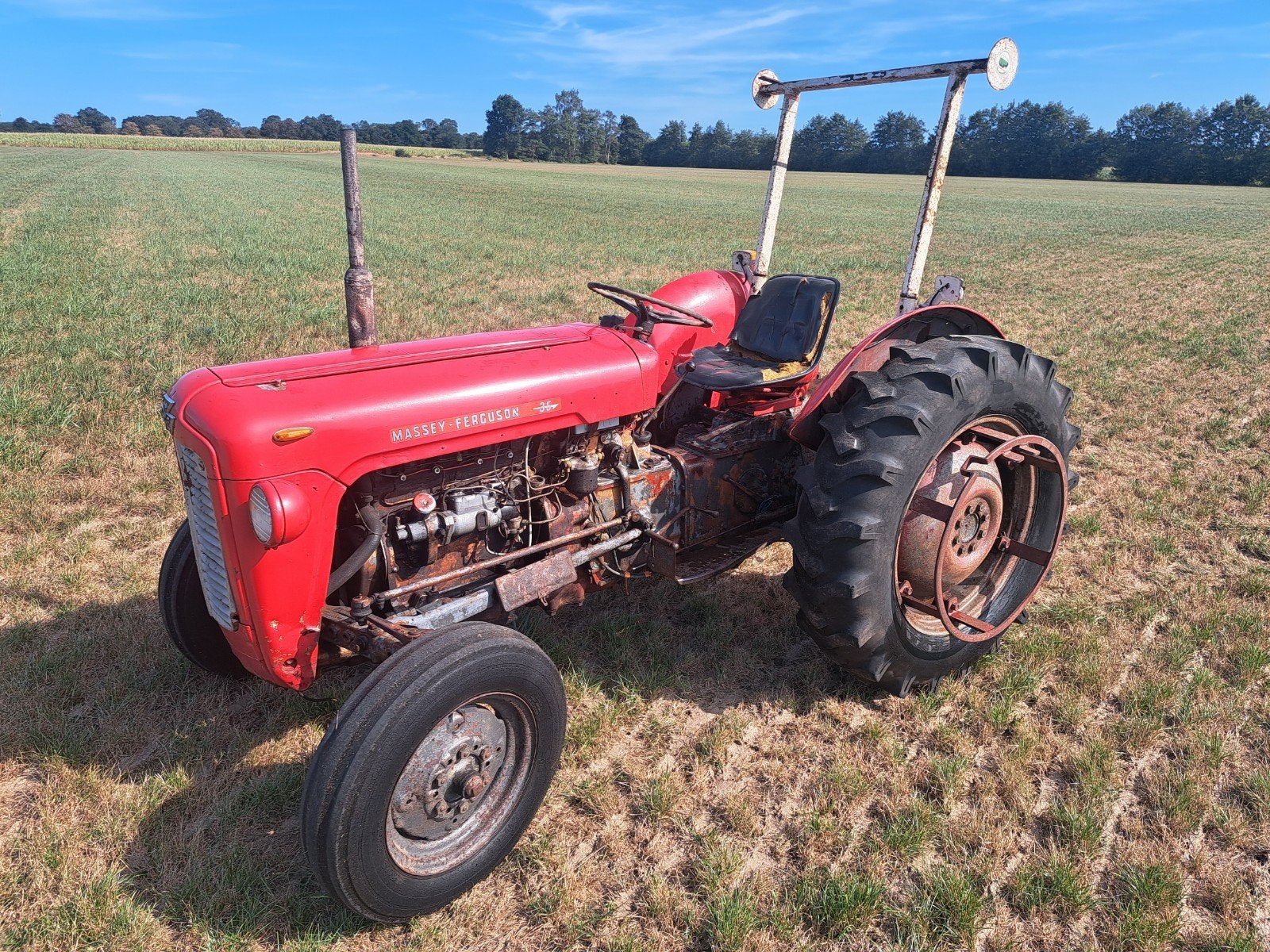 massey ferguson Mf35 oldtimer tractor agrarisch Mf 35 30 135, Zakelijke goederen, Ophalen, Tot 2500, Oldtimer, Tot 80 Pk
