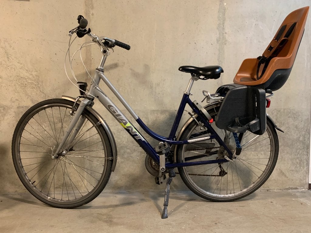 Dames fiets, Fietsen en Brommers, Ophalen, Gebruikt, Velgrem, Versnellingen