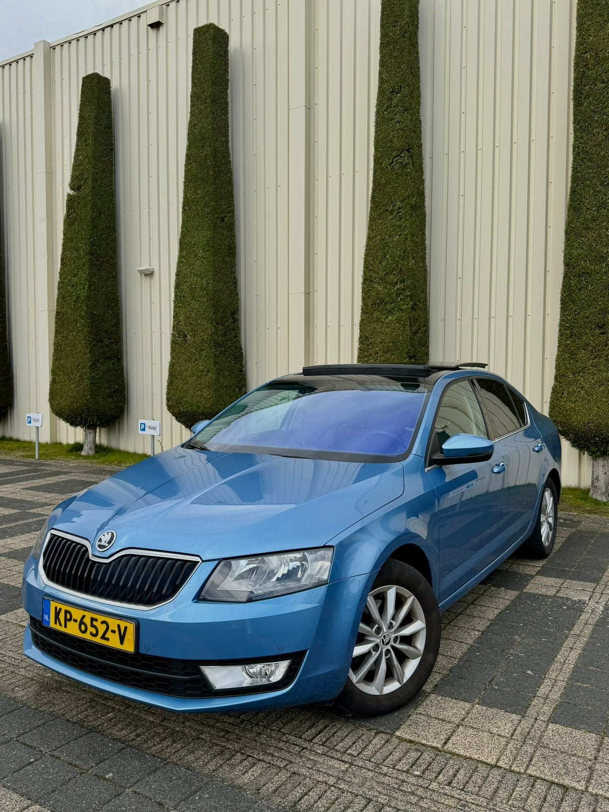 Skoda Octavia 1.0 TSI Automaat |1 eigenaar| dealer onderhoud, Auto's, Zwart, Blauw, 620 kg, 49 €/maand